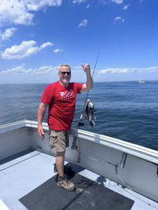 Photograph of a sea bass caught while fishing in Neptune City.