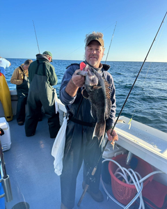 A large sea bass being caught by two people in Neptune City.