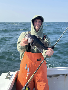 Sea Bass caught during fishing in Neptune City