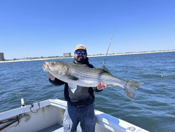Striped bass caught by angler in Neptune City