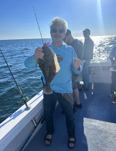 Summer flounder caught in Neptune City