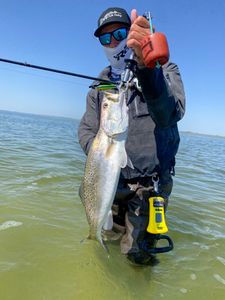 Spring Time Laguna Madre Trout! 