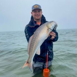Chad on a great spring Redfish bite!