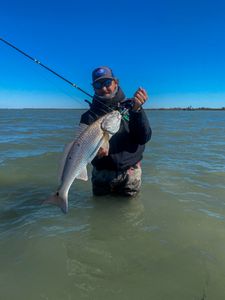 Cold January day with over 50 Redfish caught! 