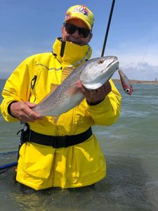 Redfish in Rockport, TX