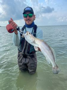 Speckled Sea Trout Fishing Adventures