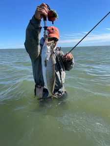The Art of Catching Trout in Baffin bay