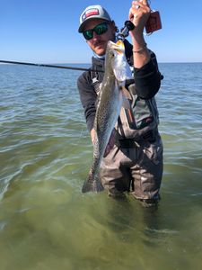 Texas Fishing Charters for All Levels