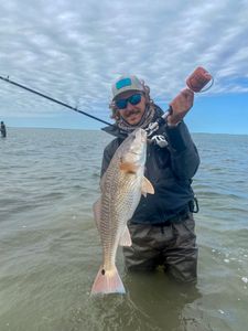 Port Mansfield gives up big Redfish too! 