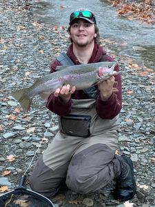 Erie steelhead fishing