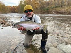 A single rainbow trout caught fishing in PA