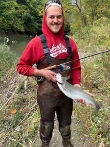 Rainbow Trout fishing in West Springfield