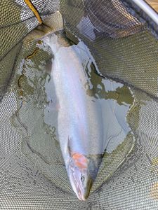 A great fishing trip in West Springfield