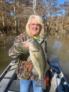 Bass fishing in the morning