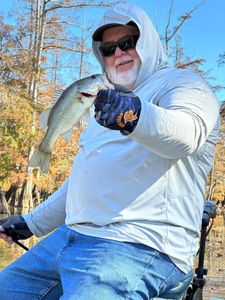 bass fishing in pickwick lake!