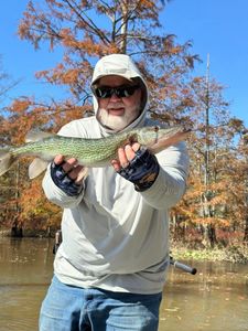 Catch of the day in lake pickwick