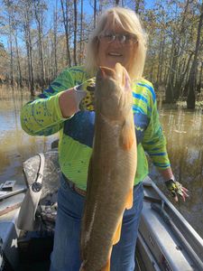 Fish On!