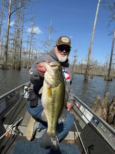 Big largemouth bass! 