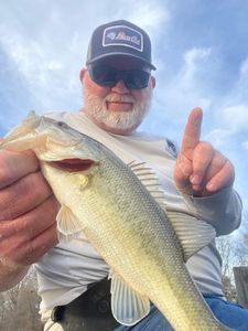 Hooked on the thrill of Largemouth bass action.