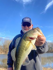 Exploring the world of Largemouth bass angling.
