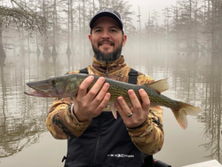 A lone angler reels in a 25-inch catch in TN