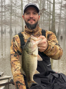 One person fishing in TN