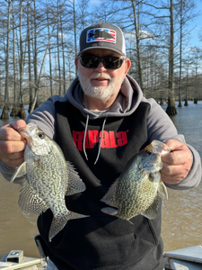 Crappie fishing in TN