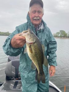Largemouth Bass caught in Counce