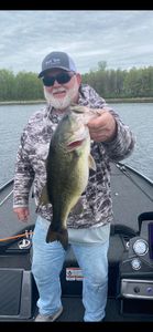 Largemouth Bass caught in Counce