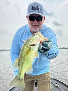 Largemouth bass caught in Counce
