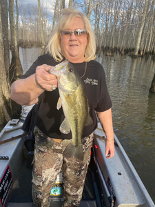Largemouth bass caught in Counce