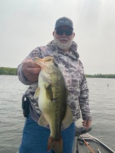 Largemouth Bass caught in Counce