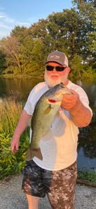 Largemouth Bass caught in Counce
