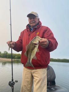Largemouth bass caught in Counce, Tennessee