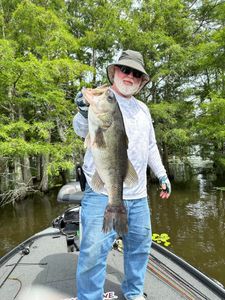 Largemouth Bass caught while fishing in Tennessee