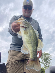 Largemouth bass caught while fishing in TN
