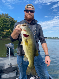 A 24-inch Largemouth Bass caught in TN