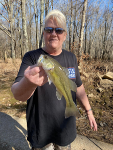 Lone angler in Counce, Tennessee fishing
