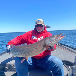 Muskellunge, a large and impressive fish, caught in Counce