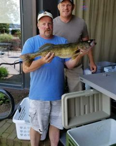 Fish-Species