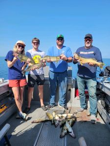 Walleye experience in Lake Erie!