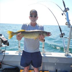 Fish-Species