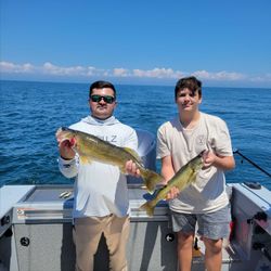 Fish-Species