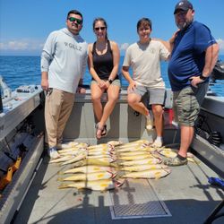 Fish-Species