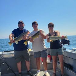 3 fish caught in NY