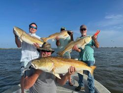 4 redfish caught on a fishing trip in LA