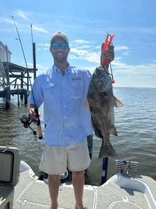 Angler with a large black drum fish caught in LA