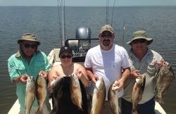 7 black drum and redfish caught in LA