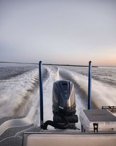 Fishing in LA