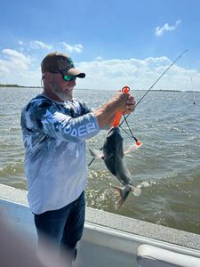 A person fishing with a rod in LA